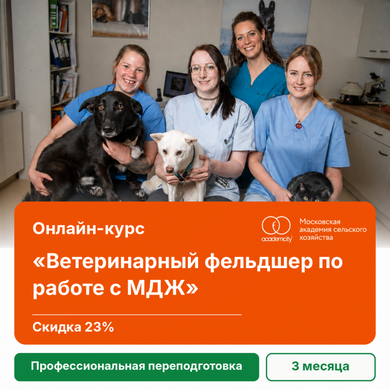 Онлайн-курс «Ветеринарный фельдшер по работе с МДЖ»