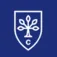 City Business School